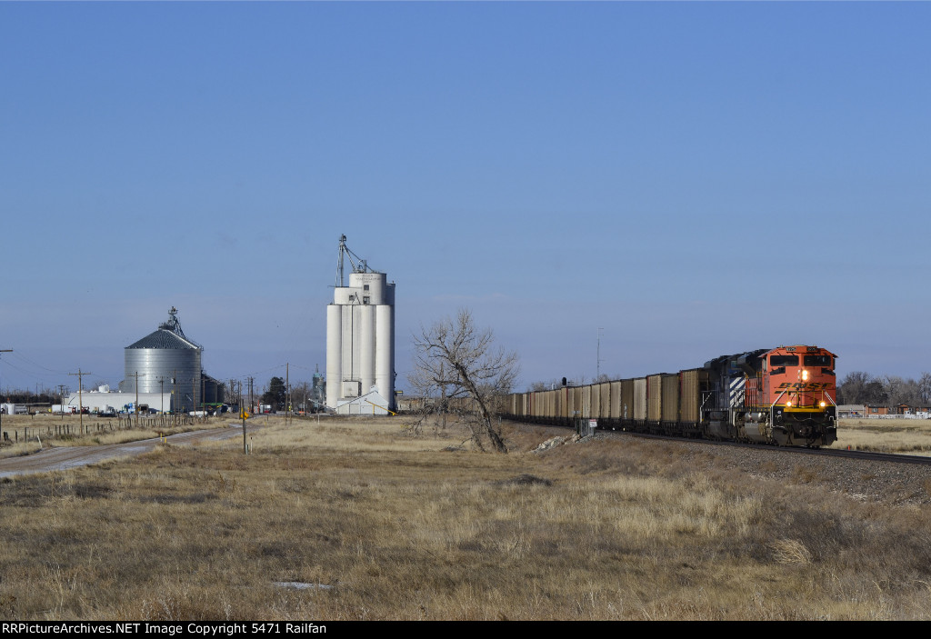 BNSF 8775 - Roggen